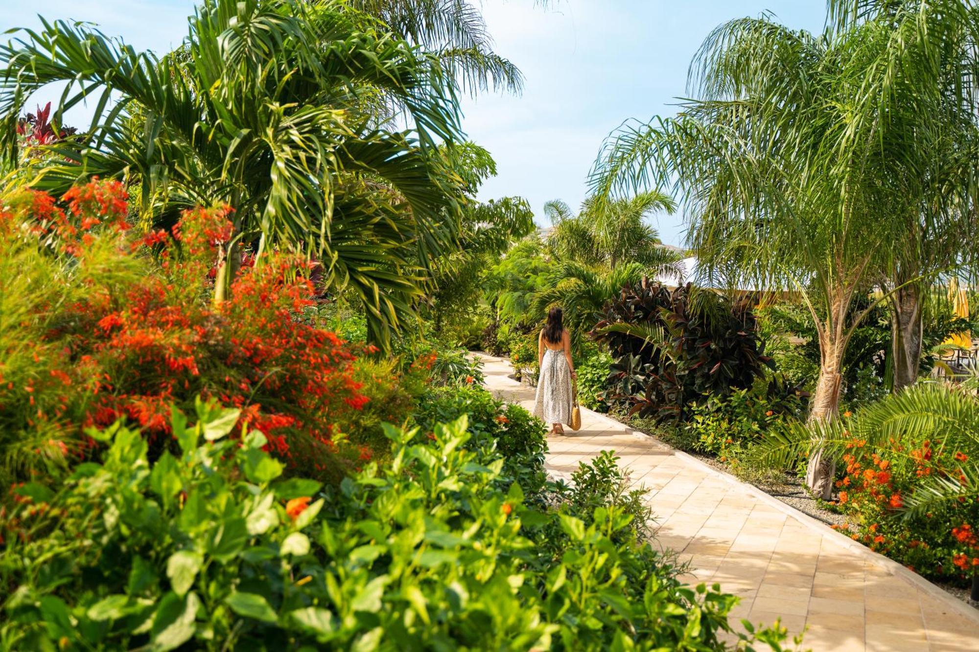 Golden Rock Dive And Nature Resort 오랑예스타트 외부 사진